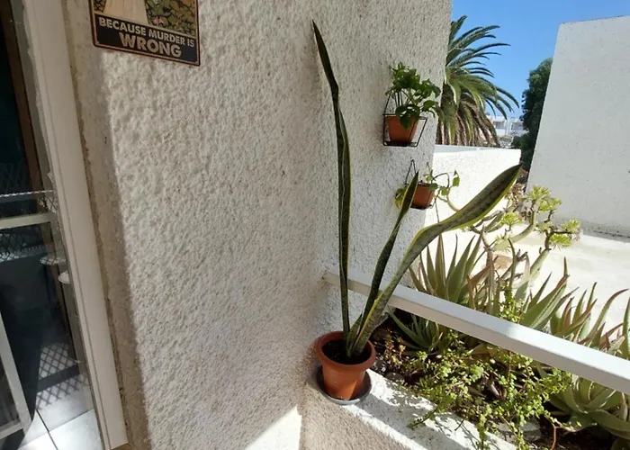 Buenas Flores Tenerife Costa Del Silencio